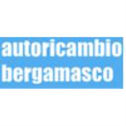 Autoricambio Bergamasco