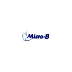 Micro-B