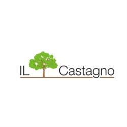 Il Castagno  Di Borionetti Marco