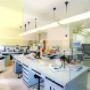 Il Laboratorio