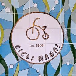 Cicli Maggi