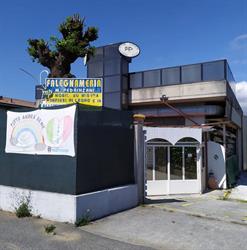 Pedrinzani S.R.L.