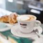 Gallery Professionale