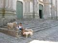 Recensioni