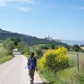 Recensioni
