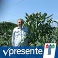 Recensioni