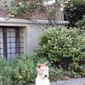 Recensioni