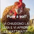 Recensioni