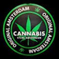 cannabis store civitavecchia