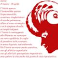 Recensioni