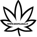 Recensioni