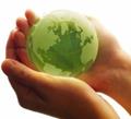 Greenproject4
