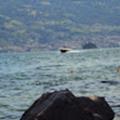 Recensioni