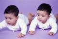BABY SERVICE di Sabrina Ratti